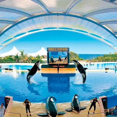 アパート Atico Con Piscina En El Centro Puerto De La Cruz - Edificio Girasol